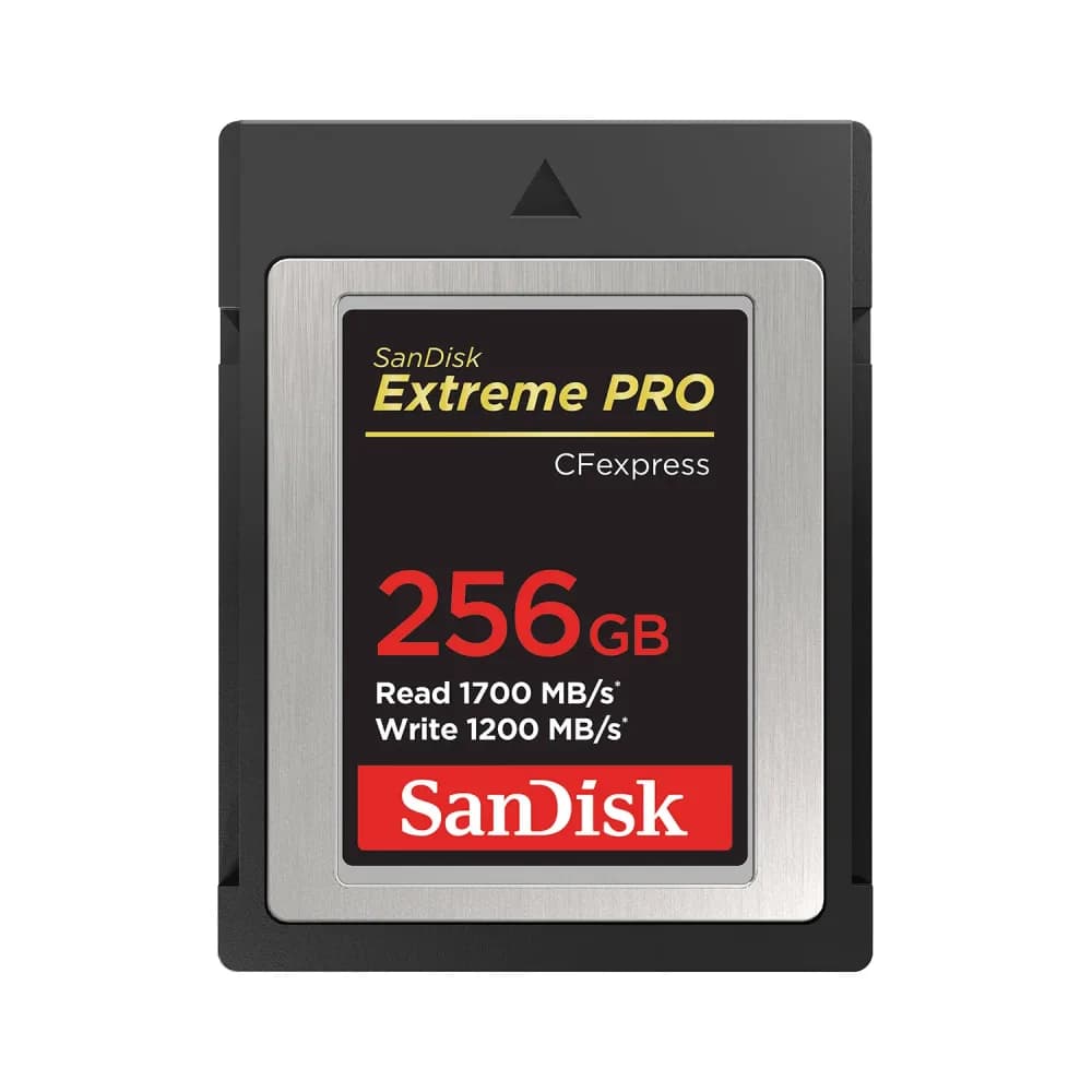 SanDisk SDCFE-256G-ANCNN