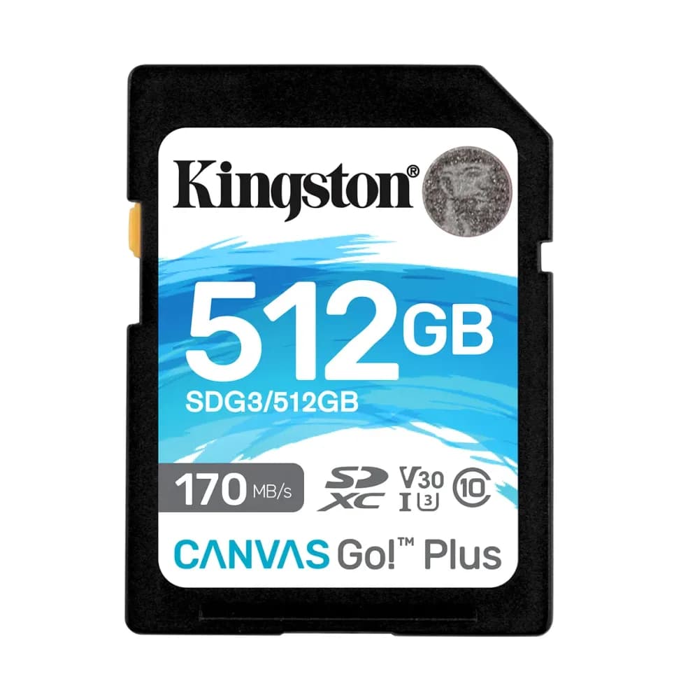 Kingston SDG3/512GB