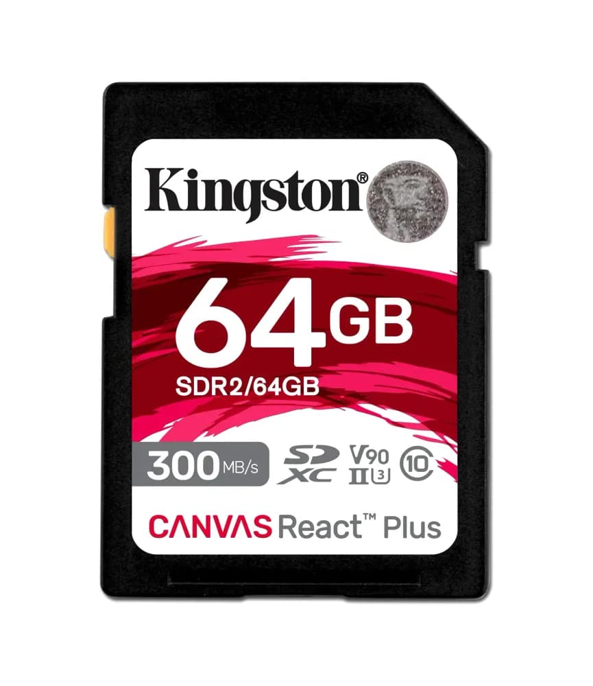 Kingston SDR2/64GB