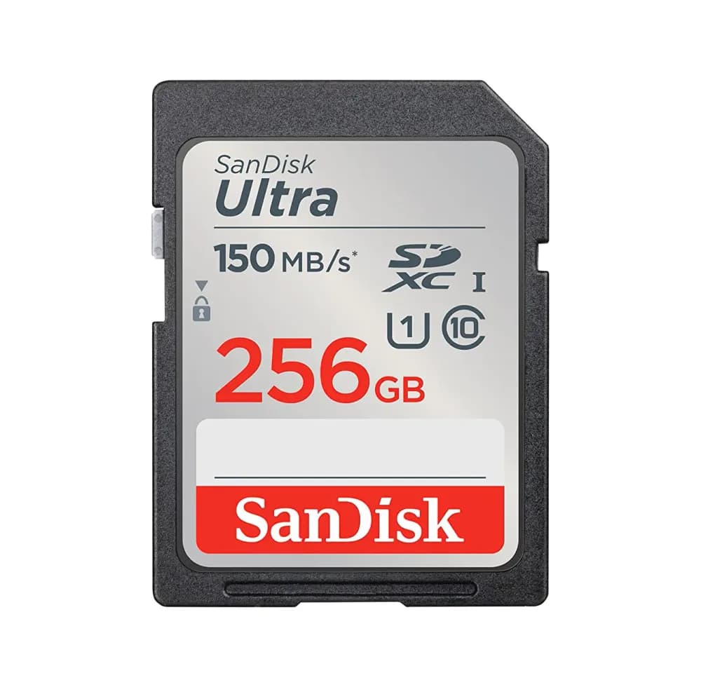 SanDisk SDSDUNC-256G-GN6IN