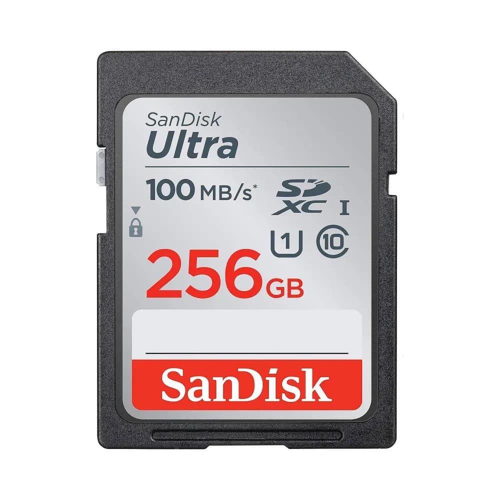 SanDisk SDSDUNR-256G-AN6IN