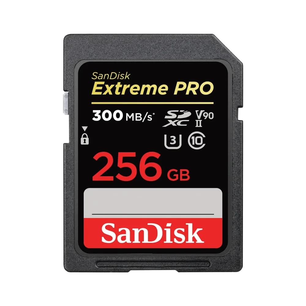SanDisk SDSDXDK-256G-ANCIN