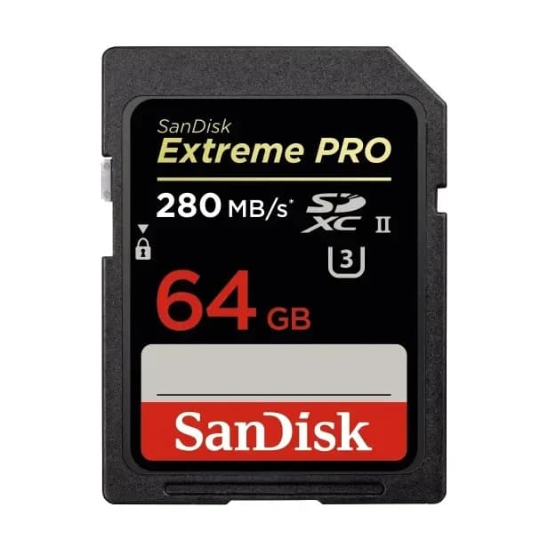 SanDisk SDSDXEP-064G-GN4IN
