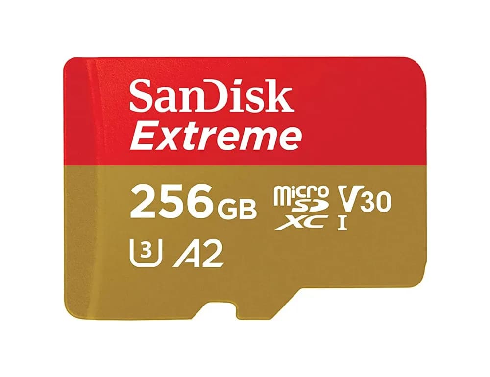 SanDisk SDSQXAV-256G-GN6MA