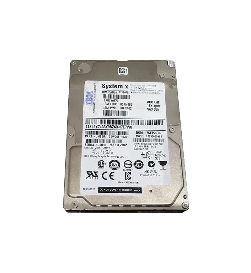 IBM 00FN460 300GB 6Gb/s SAS