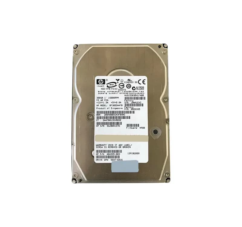 Hitachi 0B22165 300GB