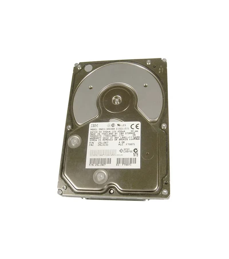 IBM 25L3133 4GB