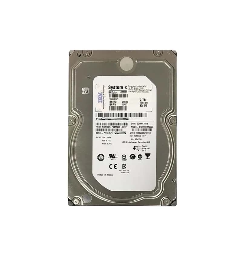 IBM 42D0767 2TB 6Gb/s SAS