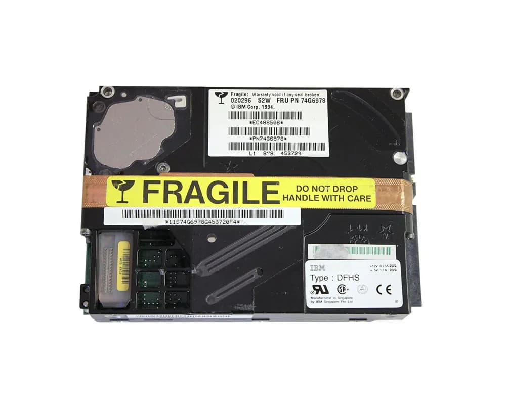 IBM 74G6978 2GB