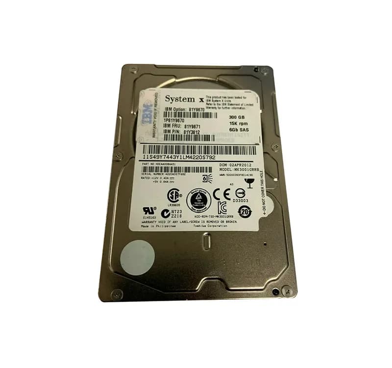 IBM 81Y3812 300GB 6Gb/s SAS
