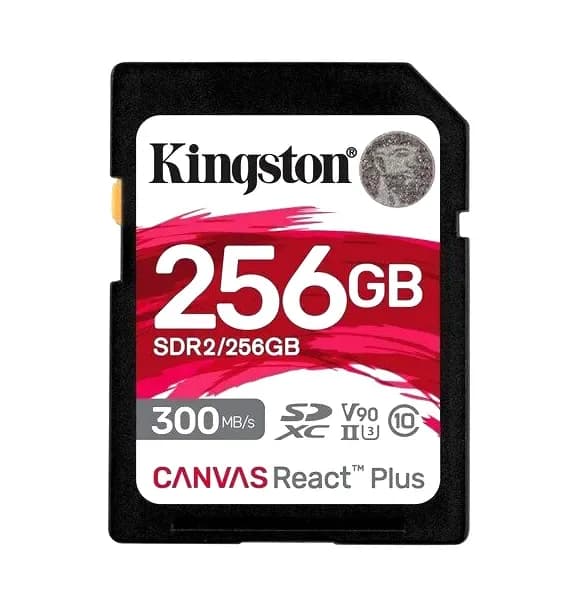 Kingston SDR2/256GB