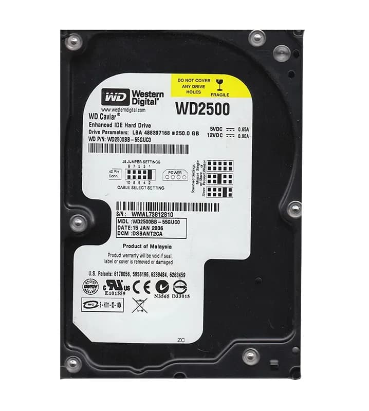 Western Digital WD2500BB-55GUC0 250GB