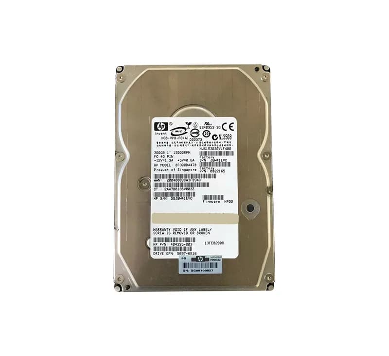 Hitachi HUS153030VLF400 300GB